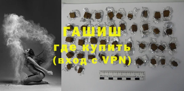 молекула духа Вяземский