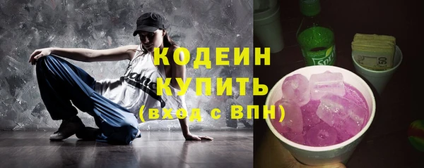 молекула духа Вяземский