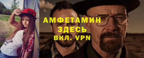 молекула духа Вяземский