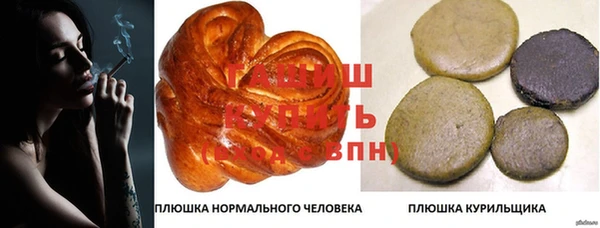 молекула духа Вяземский