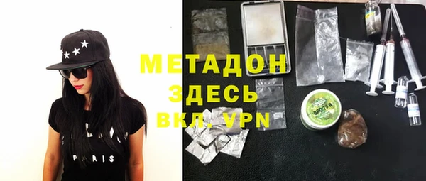 молекула духа Вяземский