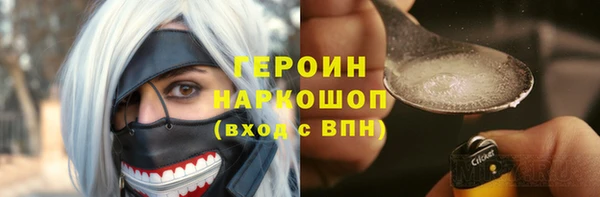 молекула духа Вяземский