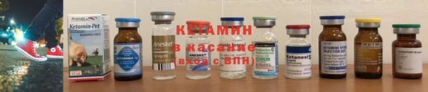 молекула духа Вяземский