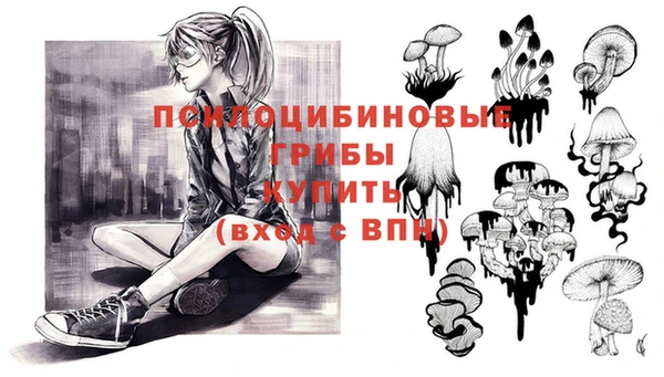 молекула духа Вяземский