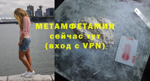 молекула духа Вяземский