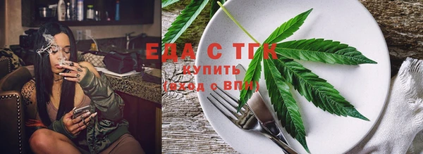 молекула духа Вяземский