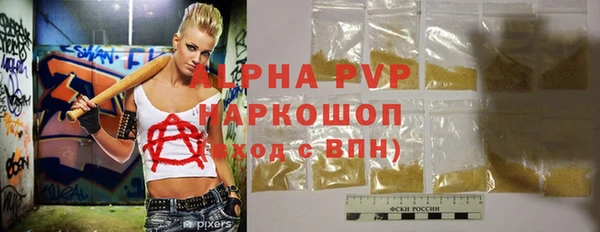 молекула духа Вяземский