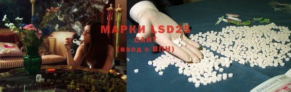 молекула духа Вяземский