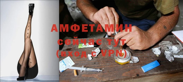 крисы Вязьма